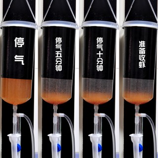 Lồng ấp artemia