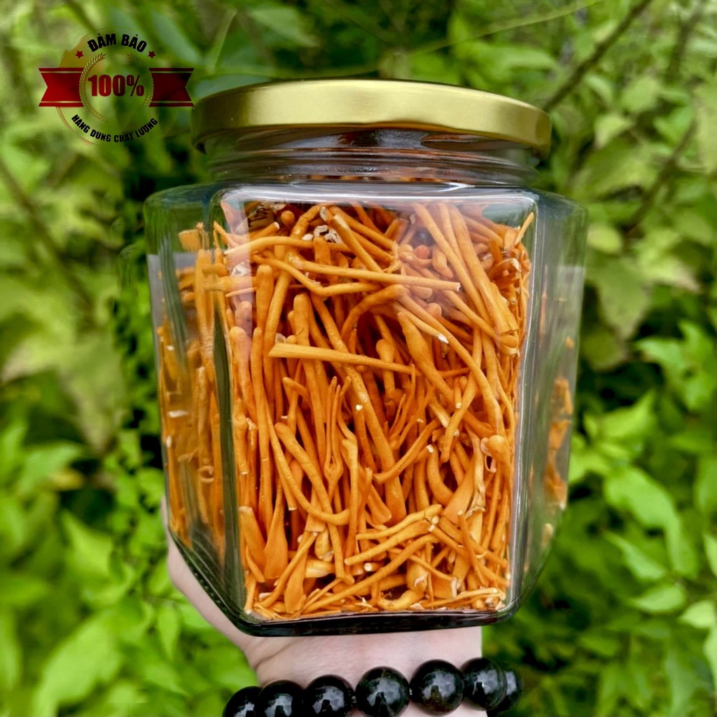 Đông trùng hạ thảo TAYBACXANH hộp 25g sấy thăng hoa đạt tiêu chuẩn của Viện Hàn Lâm và Khoa Học Công Nghệ VN