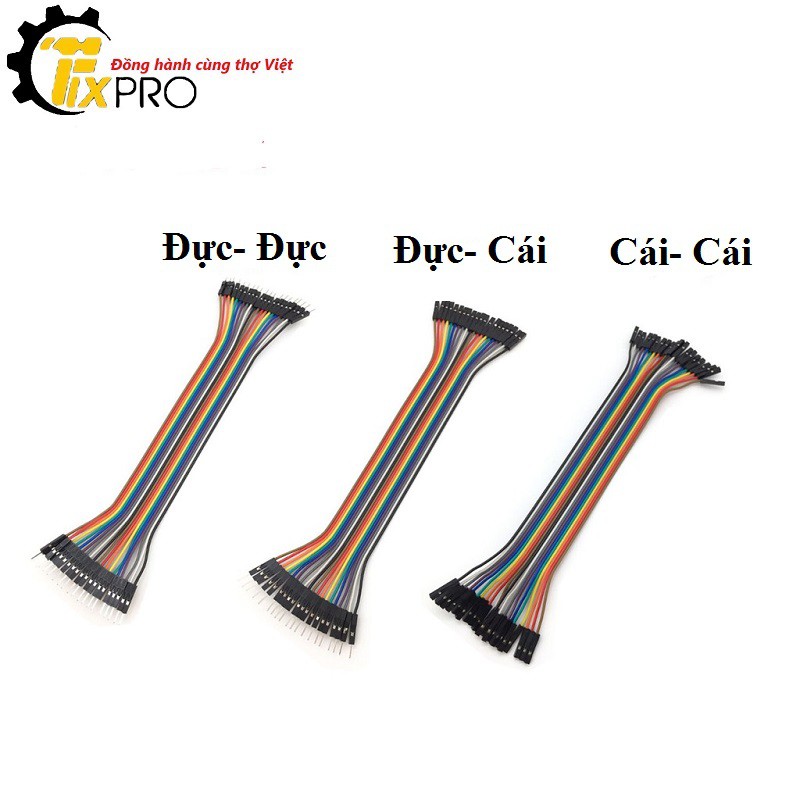 Bộ 40 sợi Cáp Dupont 20cm.