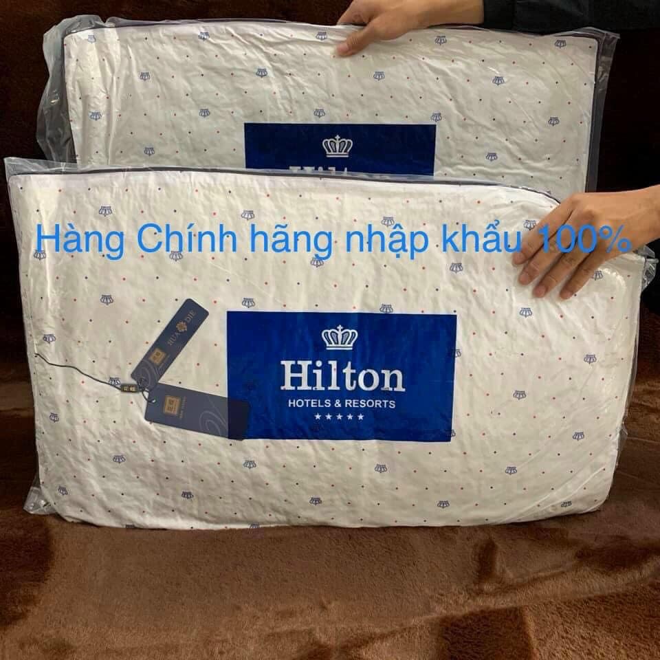 Cặp ruột gối nằm nhập khấu Hilton chuẩn loại 1 - chuẩn khách sạn 5 sao kích thước 50x70cm (2 cái)