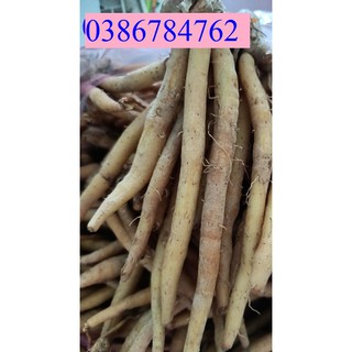 Củ ngãi bún tươi 1Kg