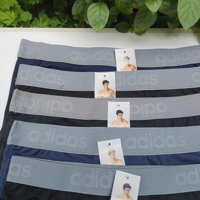 COMBO 5 QUẦN Quần Xịp Đùi Nam Sịp Đùi Cao Cấp Chất Coton Thoáng Mát, Thoải Mái Vận Động, Nam Tính - ĐÙI CT