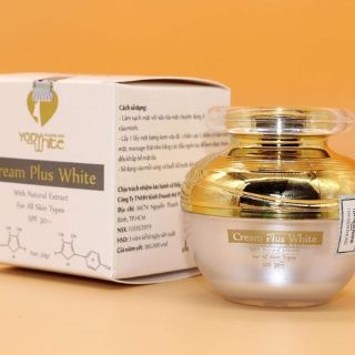 Cream Plus White dành cho da nhờn