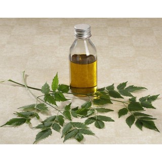 Dầu neem  (neem oil) 100ml không mùi