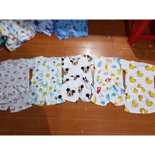 Combo 5 bộ cotton giấy