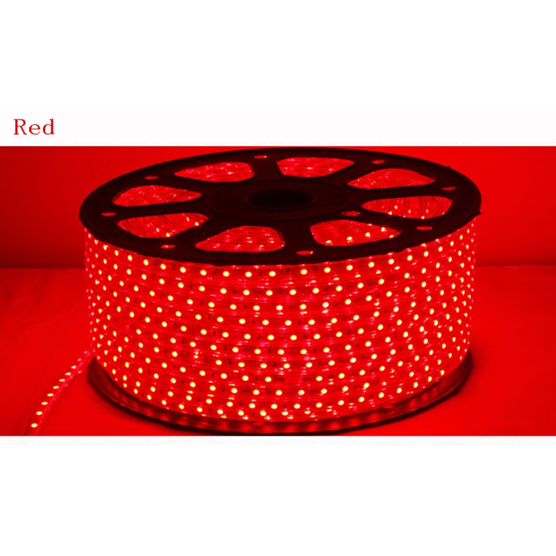 Bộ 100m Đèn Led Dây 2835 led đôi 220V