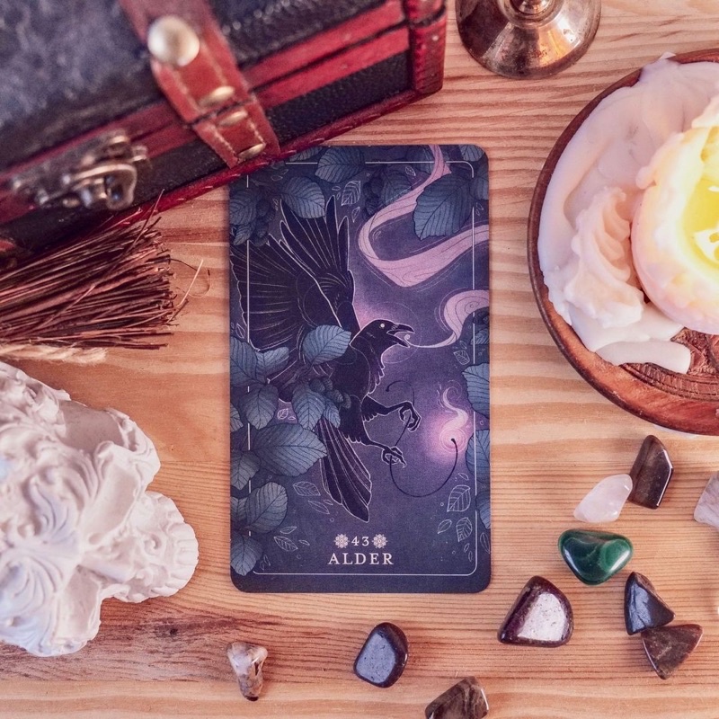 Bộ bài Seed and Sickled Oracle