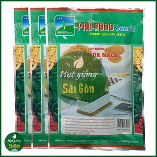 Hạt Giống Cỏ Lúa Mì 100gr - Hạt Giống Mầm Lúa Mạch Dễ Nảy Mầm