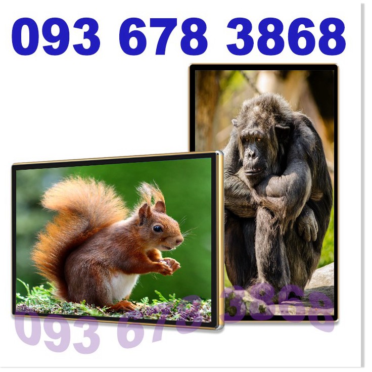 Màn hình quảng cáo treo tường Samsung 65 inch phiên bản Wifi sử dụng ngoài trời CYL-TG650B2-WS | BigBuy360 - bigbuy360.vn