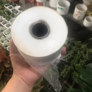 Giấy ghép cây