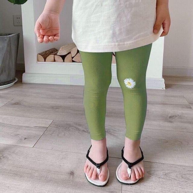 Quần legging hoa Cúc cho bé yêu 8-19kg