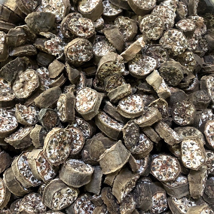 Chuối hột núi rừng Tây Bắc ngâm rượu, đặc sản vùng cao