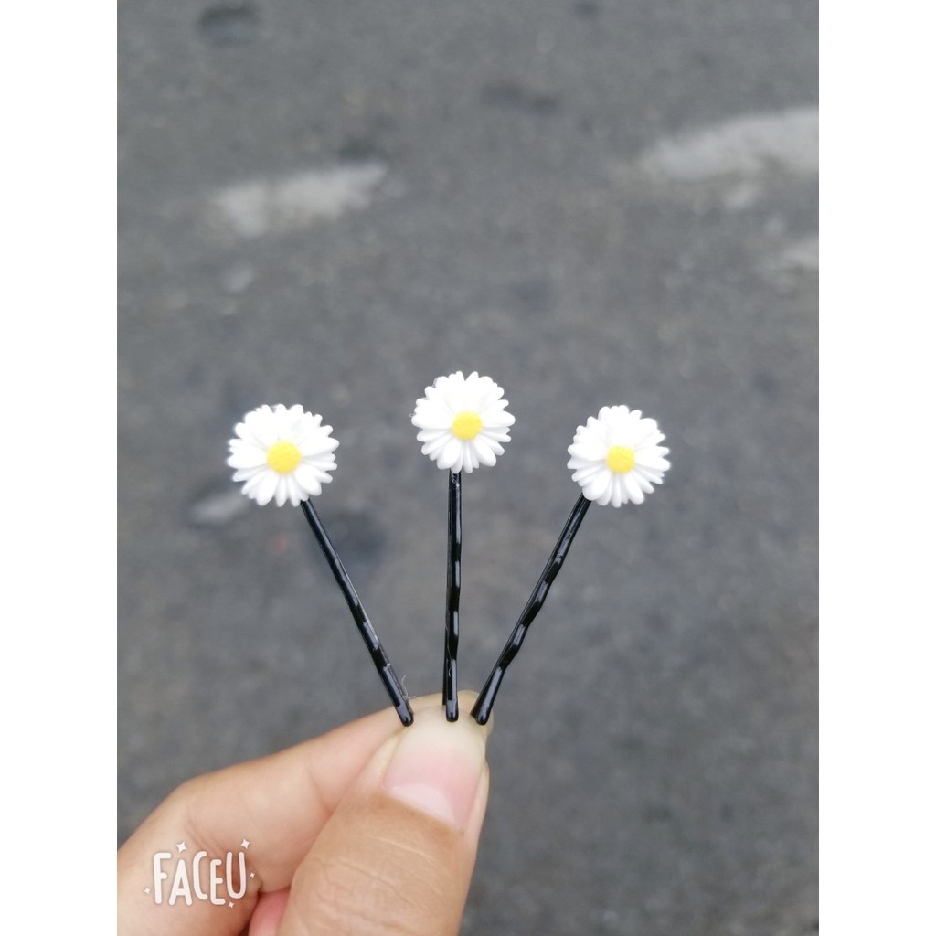 Cột, kẹp tóc hoa cúc ( hình thật )