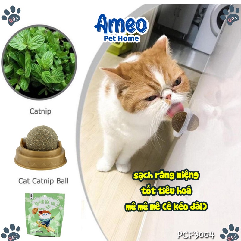 Bóng catnip ball bạc hà kèm nắp, banh cỏ mèo dán tường không sợ mất, đồ chơi mèo sạch răng, giảm căng thẳng