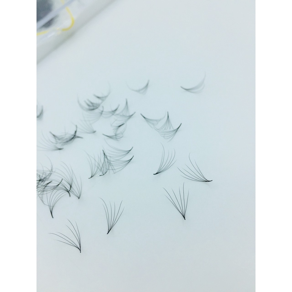 Mi Fan 6D SOLE dày 0.07 - MI CAMELIA 6D - Dụng cụ nối mi - Mi giả - Be Lash