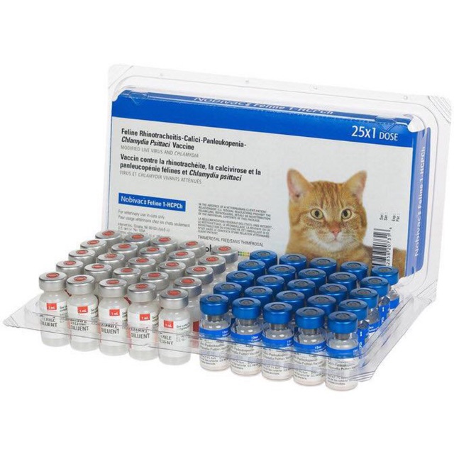 vacxin mèo 4 bệnh nobivac và zoetis-giá sỉ