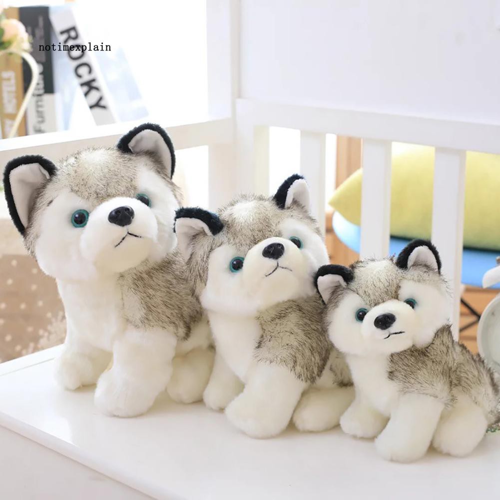 Thú bông bằng vải nhung lông hình chú chó Husky dễ thương kích thước 18/22/28cm