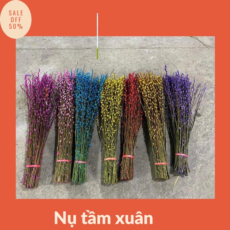 Nụ tầm xuân khô❤️hoa cắm ngày tết , trang trí nhà cửa