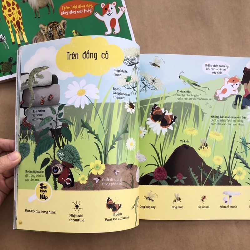 Sách - Những khám phá đầu tiên của tớ về Thiên Nhiên