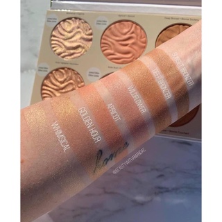 Set Phấn Physicians Formula Highlight Blush Bronzer
