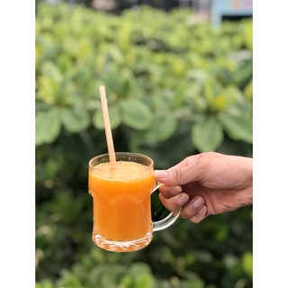 (HÀNG CÓ SẴN) Ống hút bã mía thân thiện môi trường Phi 8, dài 21cm, Size vừa (M)