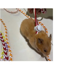 Dây dắt hamster nhiều màu
