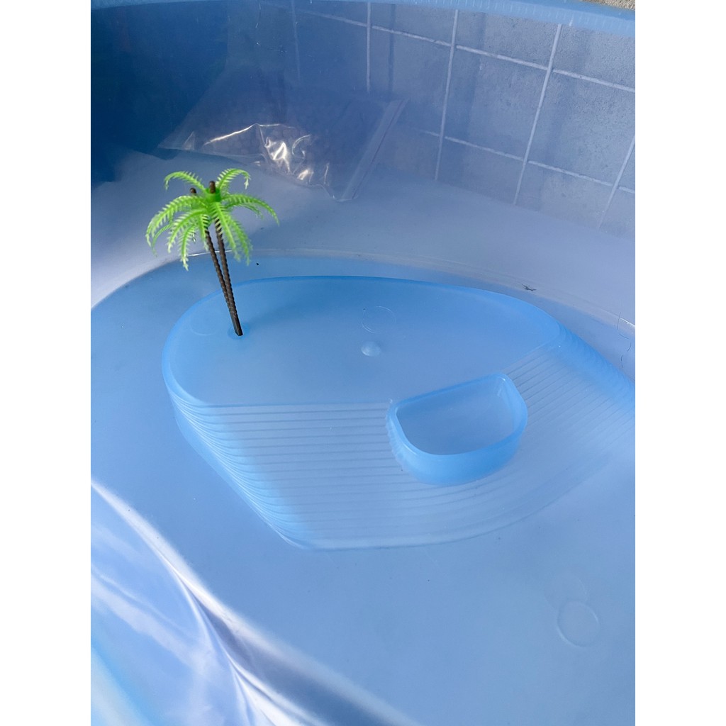 Bể nhựa nuôi rùa nước