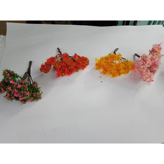 Cây trang trí tiểu cảnh