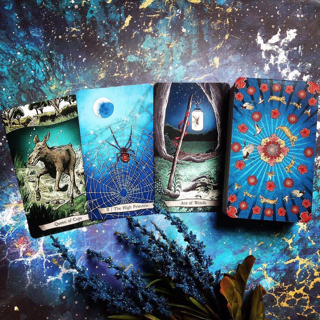 Bộ bài Animal Totem Tarot  - Bài Gốc Authentic Chính Hãng 100%