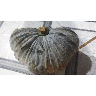 (Quận 12) 1kg Bí Đỏ/Bí Ngô