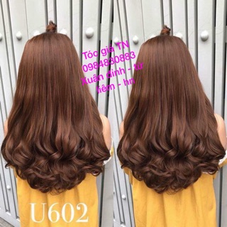 Tóc giả kẹp u