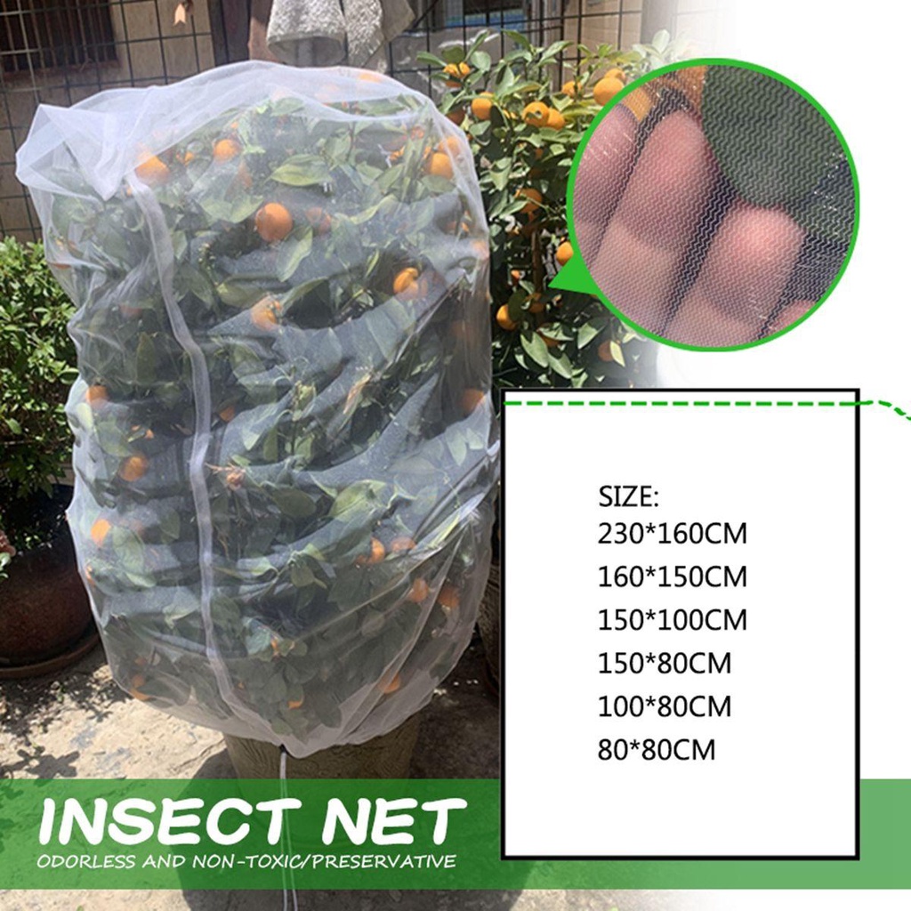 Vỏ Bọc Thực Vật Giữ Ấm Chống Lạnh Chống Đóng Băng