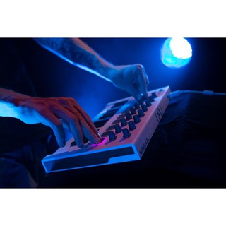 Đàn Midi Arturia Minilab MKII Midi Controller