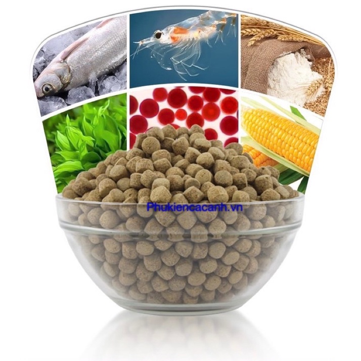 Thức ăn cá Koi Hikari Daily
