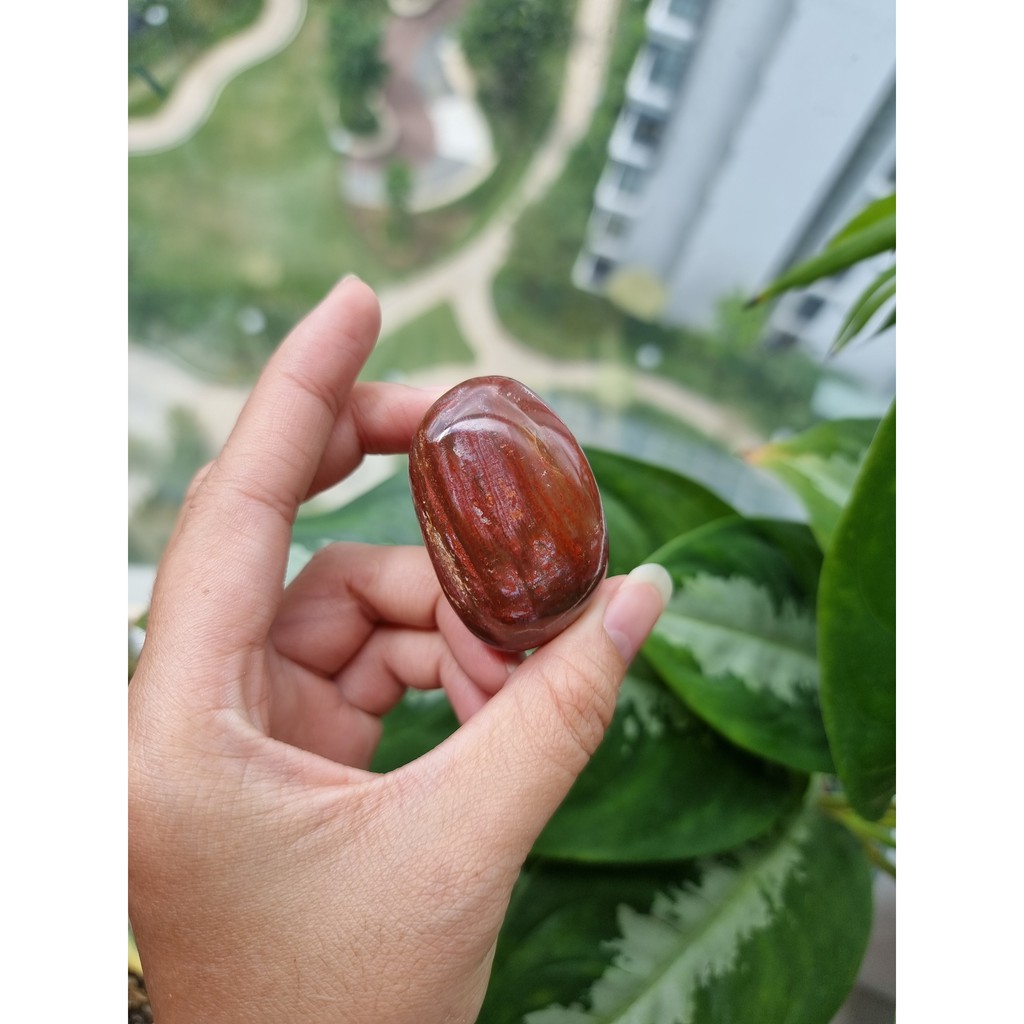 Viên Gỗ hóa thạch (Petrified Wood Palm), đá thanh tẩy tarot, reiki, phong thủy