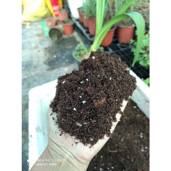 Giá thể trồng dâu tây ( bịch 1kg)