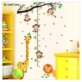 Decal dán tường đo chiều cao