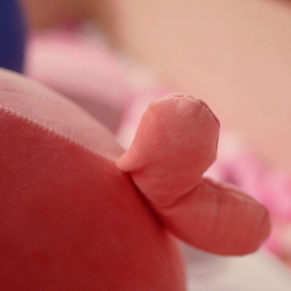 Cá Voi Nhồi Bông Mềm Mại 15CM Sống Động Trang Trí Nhà Cửa