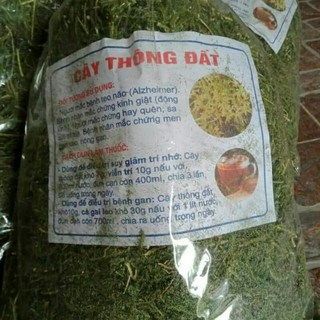 Sỉ như lẻ cây thông đất 1kg - 2kg