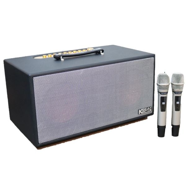 Dàn loa Karaoke di động Acnos CS450