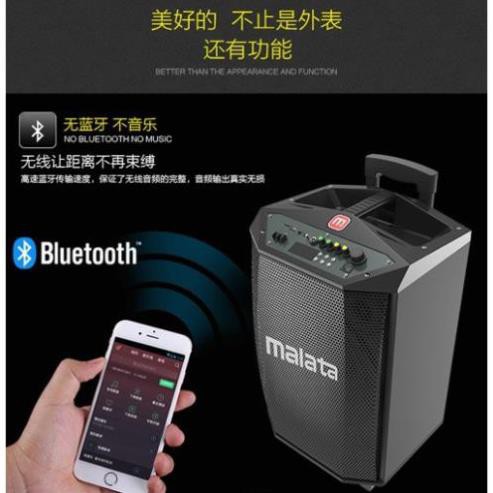 Loa kéo di động Malata 9015A