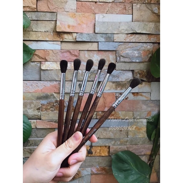 Cọ lẻ morphe