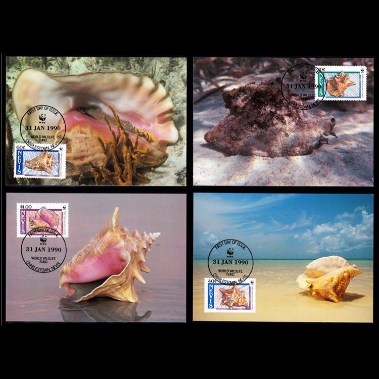 Tem sưu tập Maxicard Tem Nevis ốc Biển 1990 ( 4 cái )