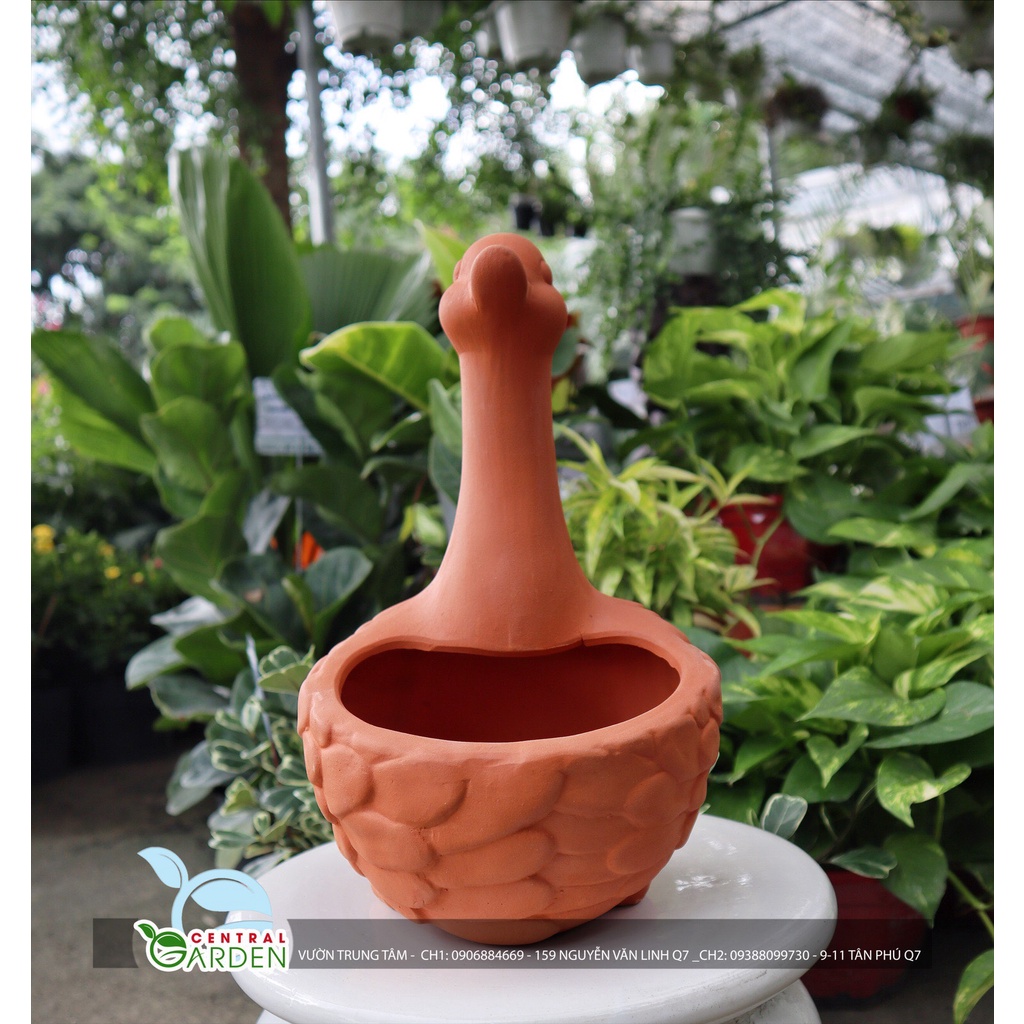 CHẬU ĐẤT NUNG HÌNH THÚ - CHẬU THIÊN NGA