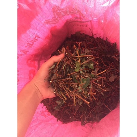 1KG KIM NGÂN CÀNH LÁ (KHÔ, ĐẸP, MỚI) -dltd