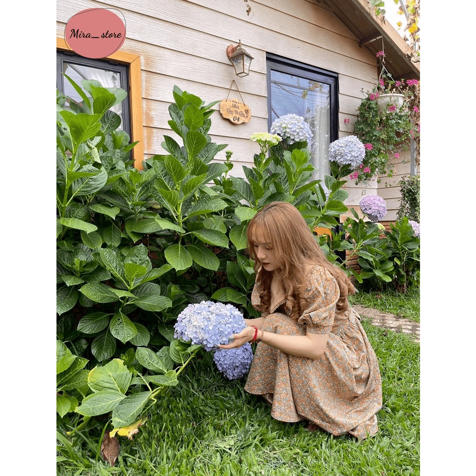 Váy Bầu Thiết Kế  Đầm Bầu Hoa Nhí Cổ Bẻ Sang Chảnh Trẻ Trung
