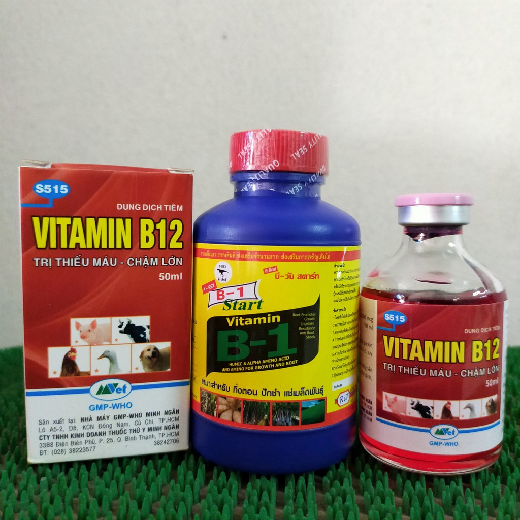 Combo B1 thái kích rễ +B12 thải độc cho cây