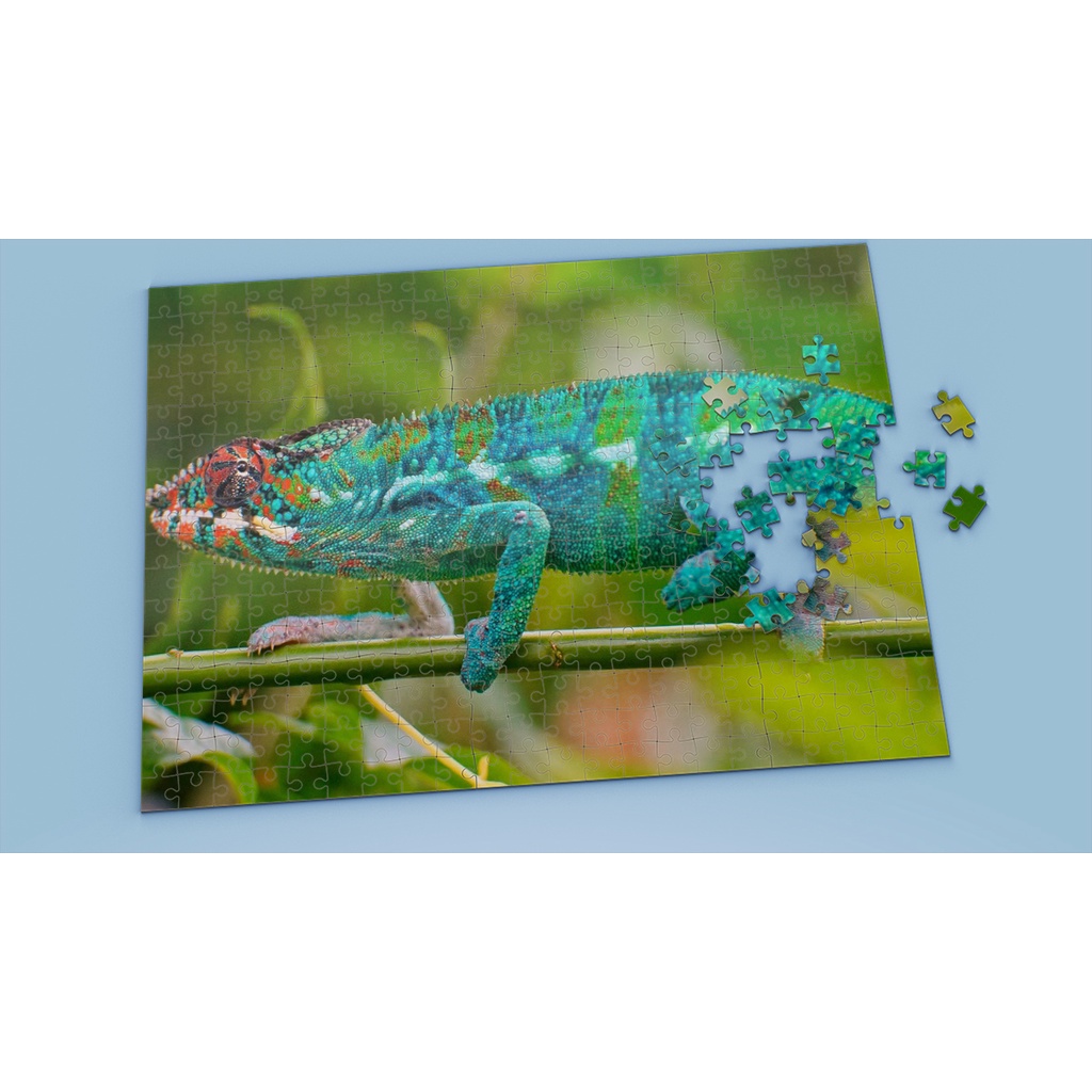 Tranh ghép hình GECKO - Mẫu 1 - Nhận in theo yêu cầu