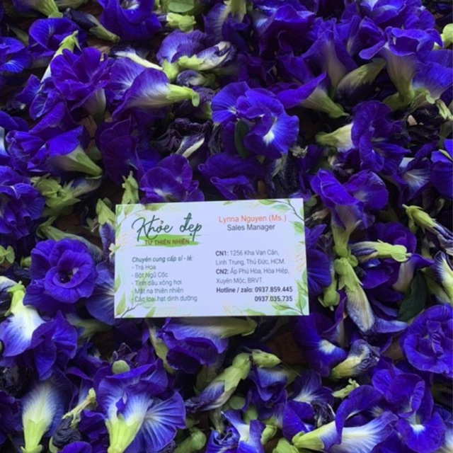 TRÀ HOA ĐẬU BIẾC 100Gr (LOẠI 1- ATVSTP) | BigBuy360 - bigbuy360.vn