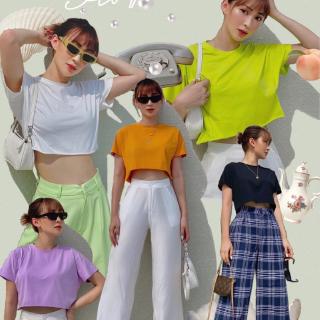 Starroom áo candy crop top #asr02